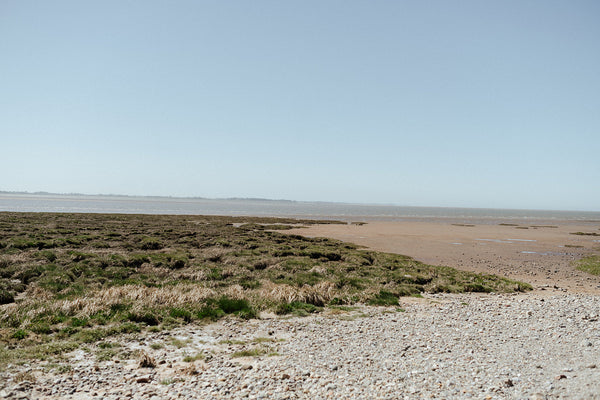 Wetland area with grass and water under a clear blue sky